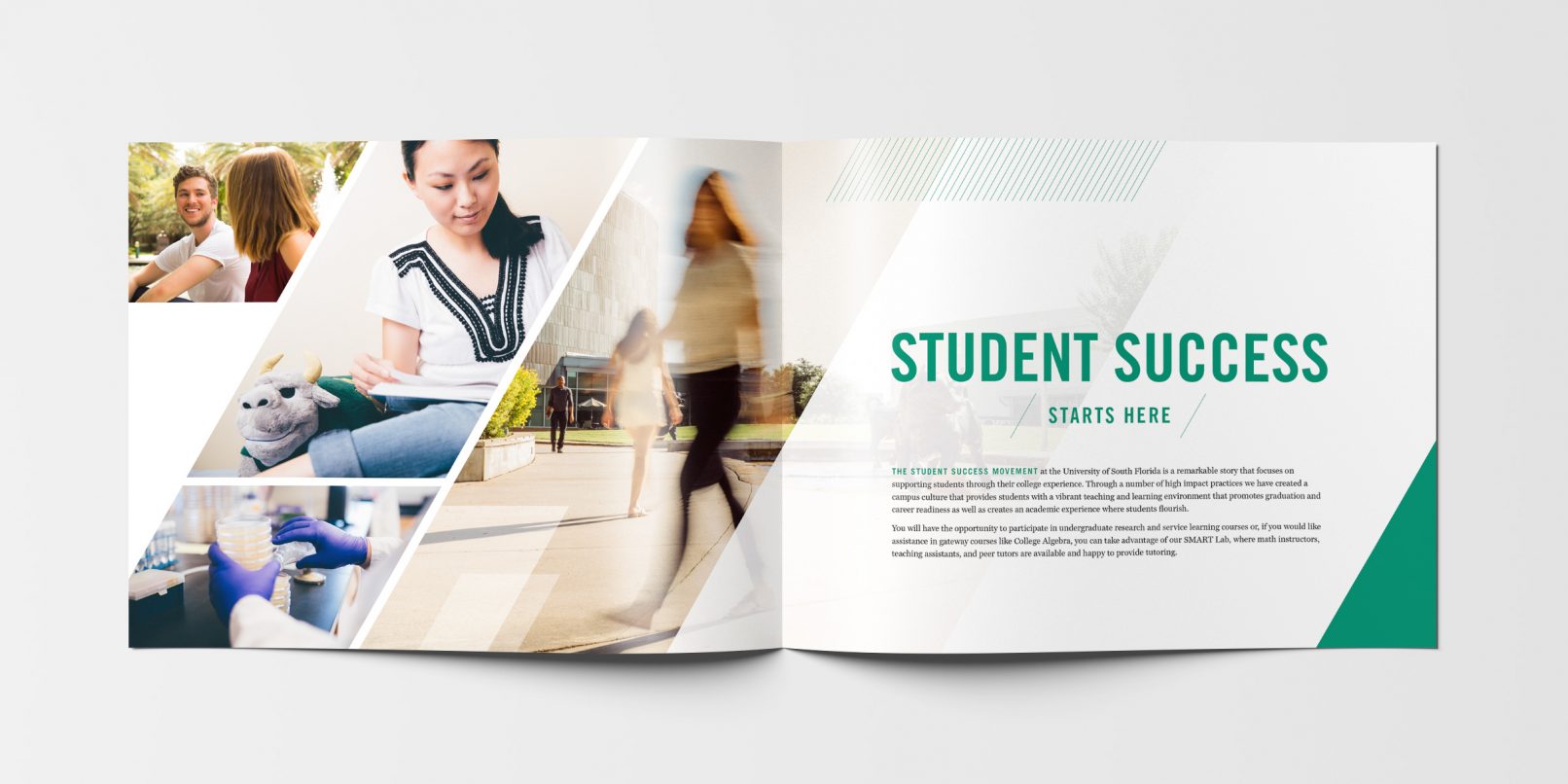 USF Admissions Hook Book